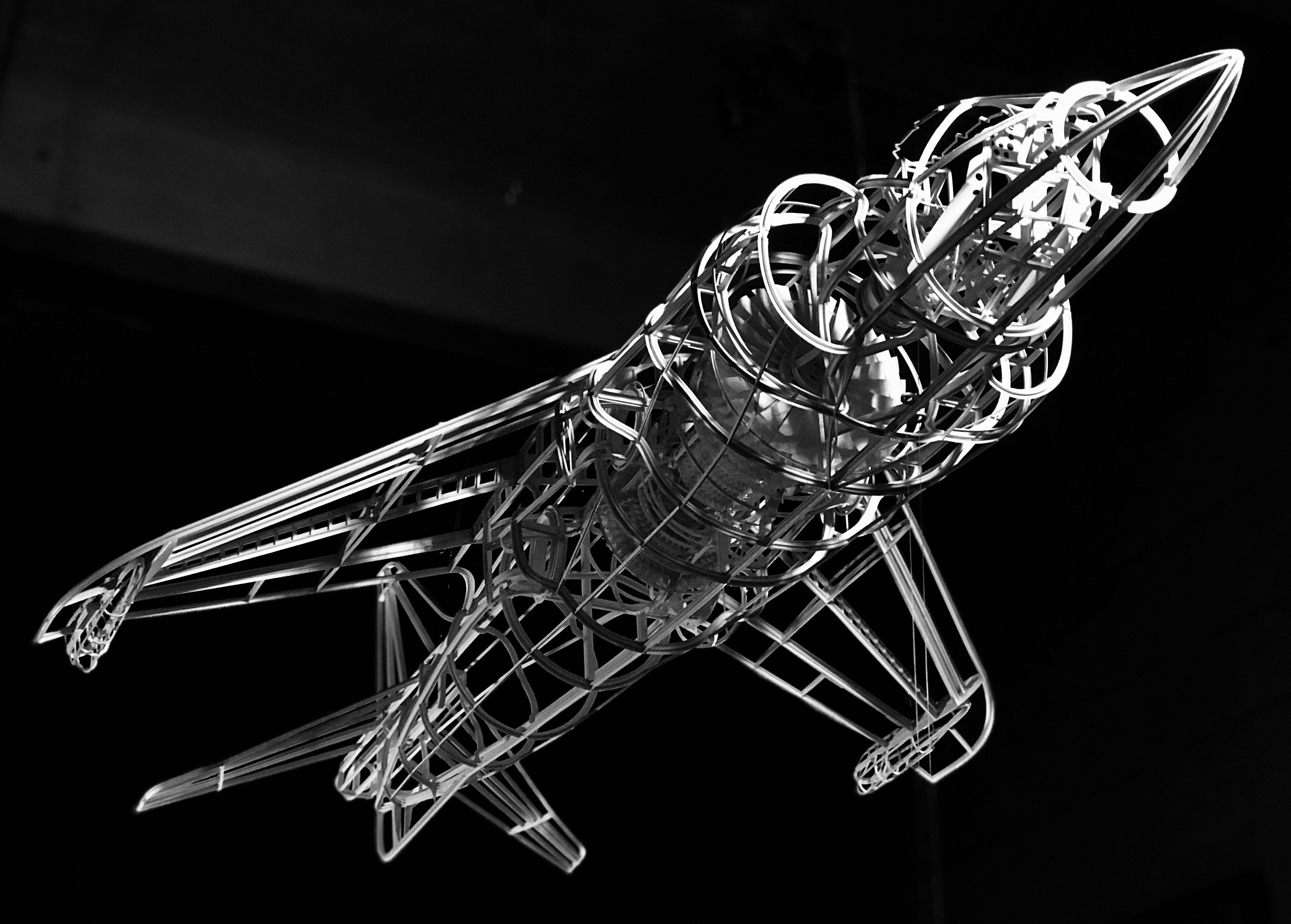 Harrier, 2019
