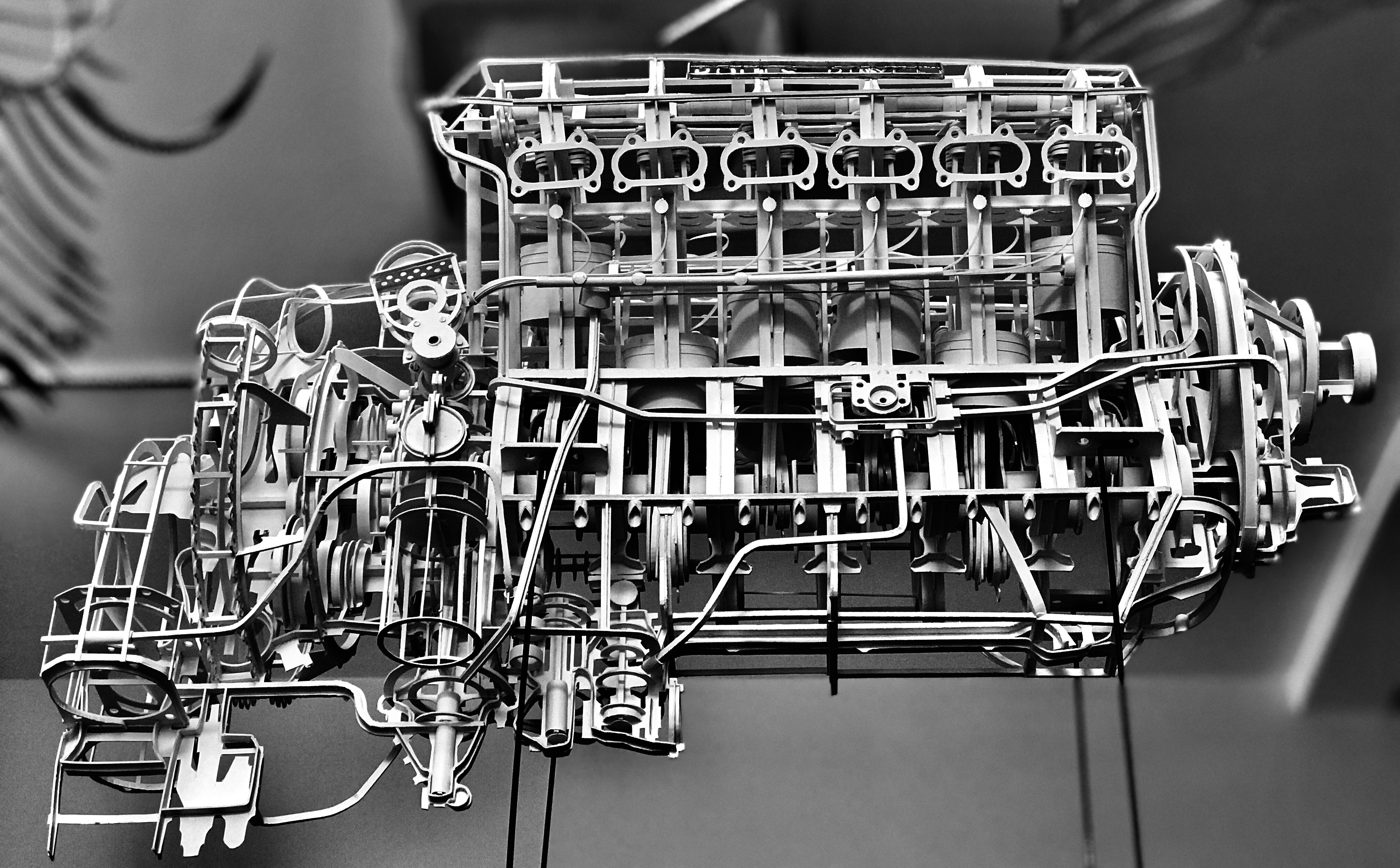 Merlin, 2021 — view 6