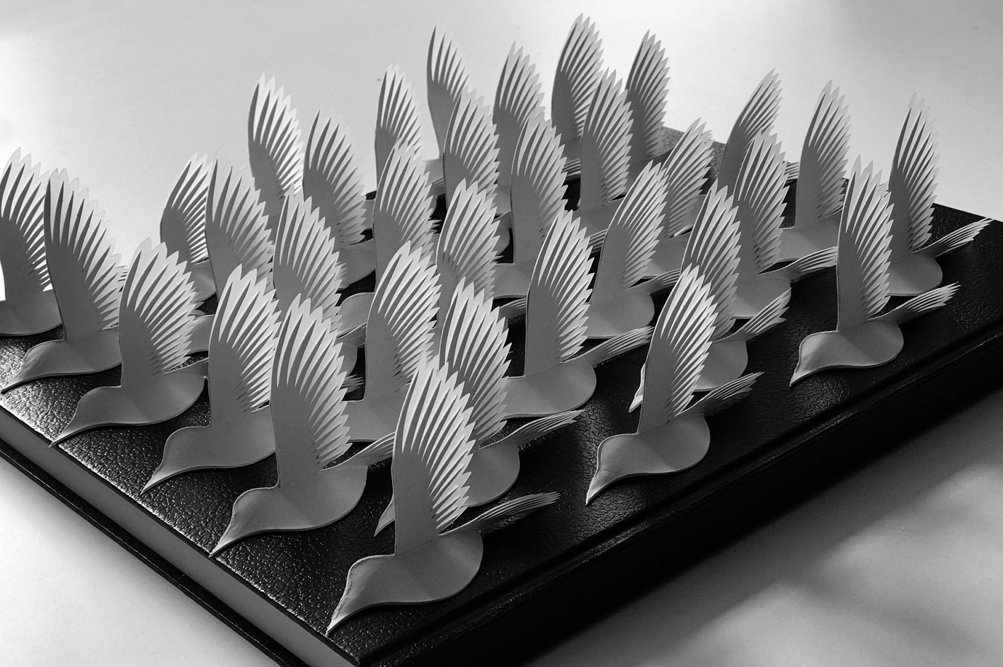Birds, 2020 — view 2