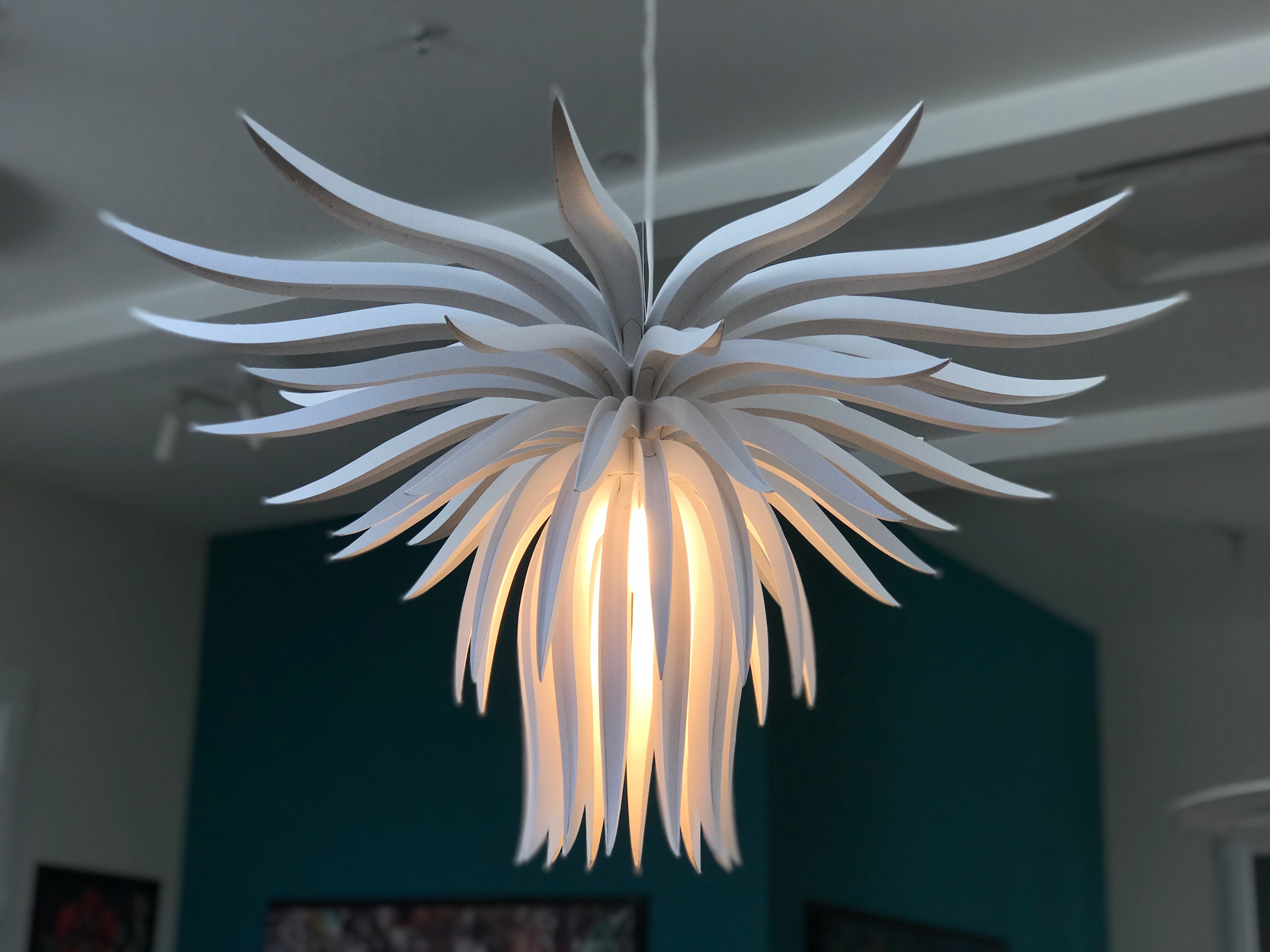Bloom, 2014 — view 2