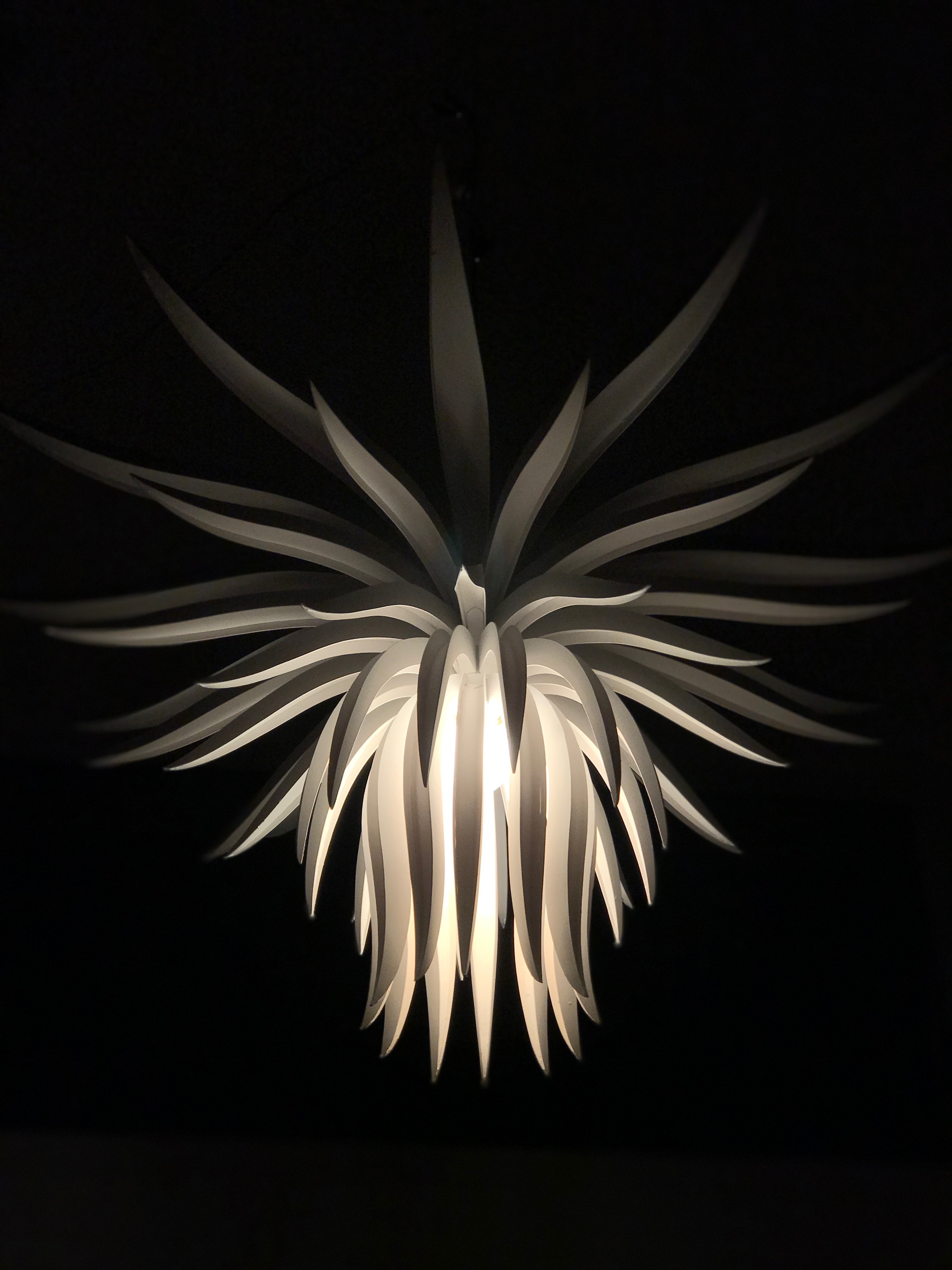 Bloom, 2014 — view 3