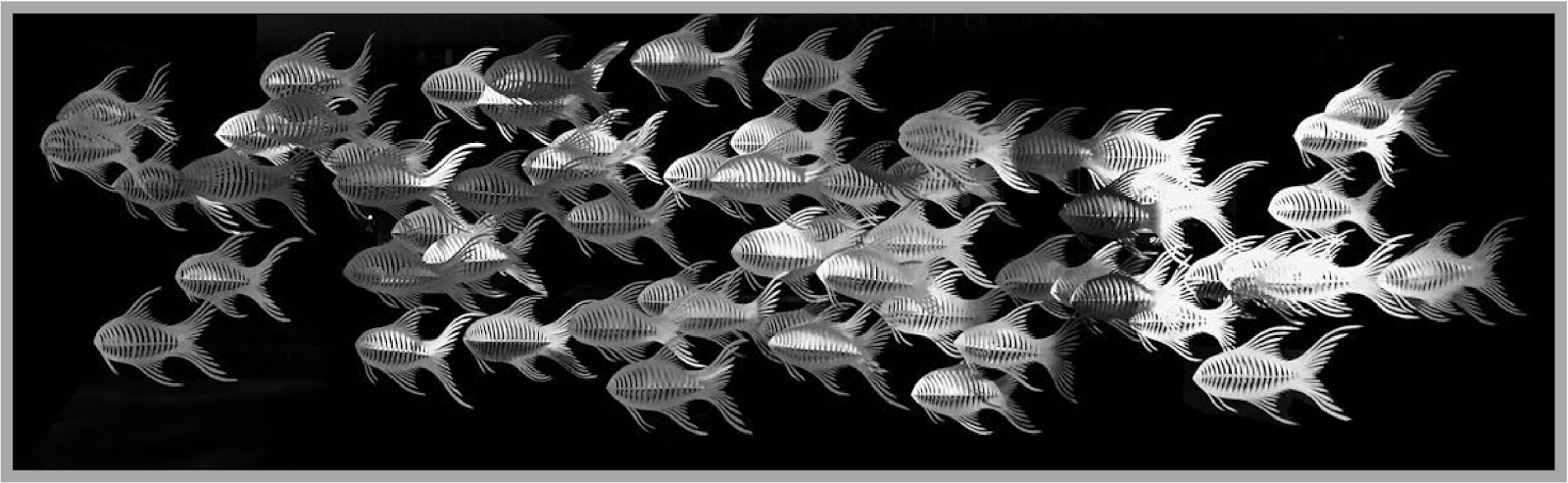 Banc de poissons, 2016 — view 3