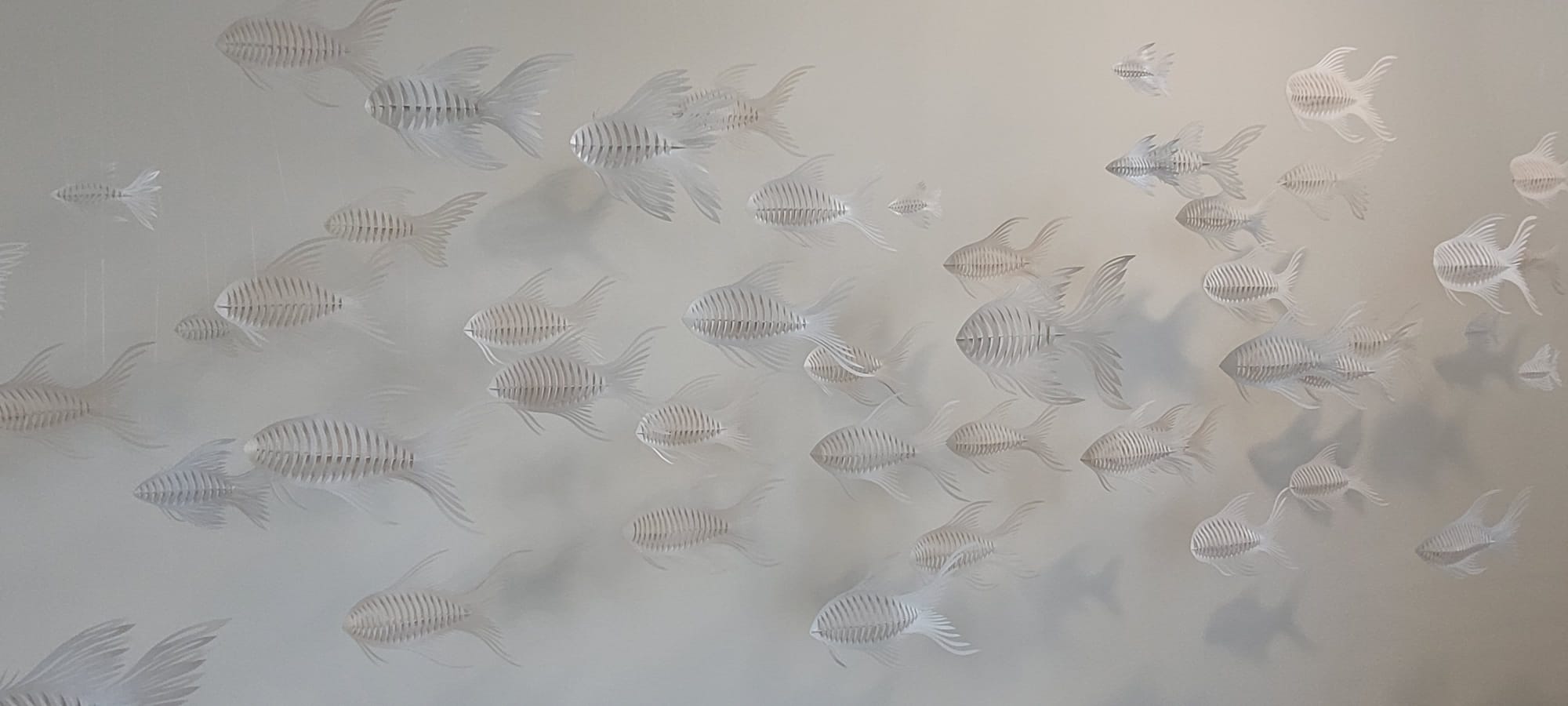 Banc de poissons, 2016