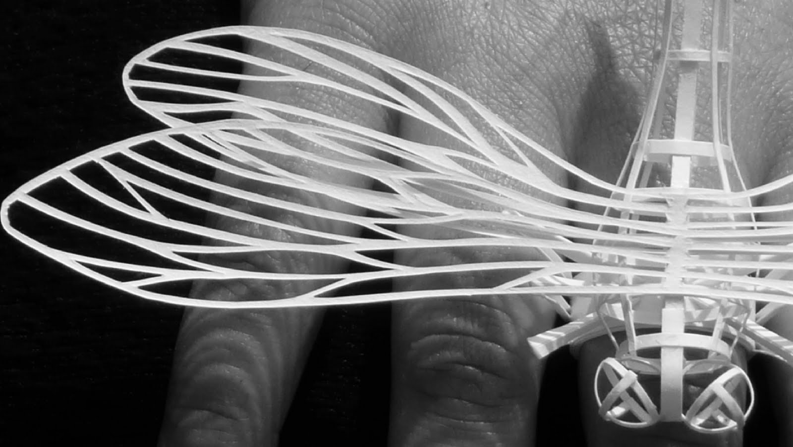 Dragonfly ring, 2011 — view 2