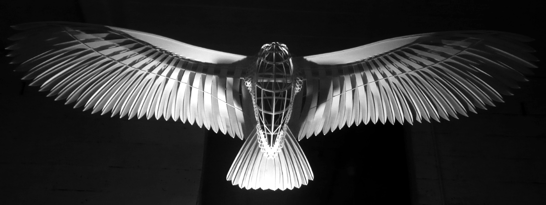 Soar, 2015 — view 3