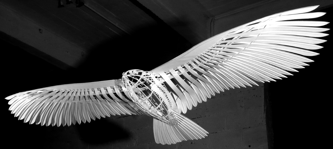 Soar, 2015