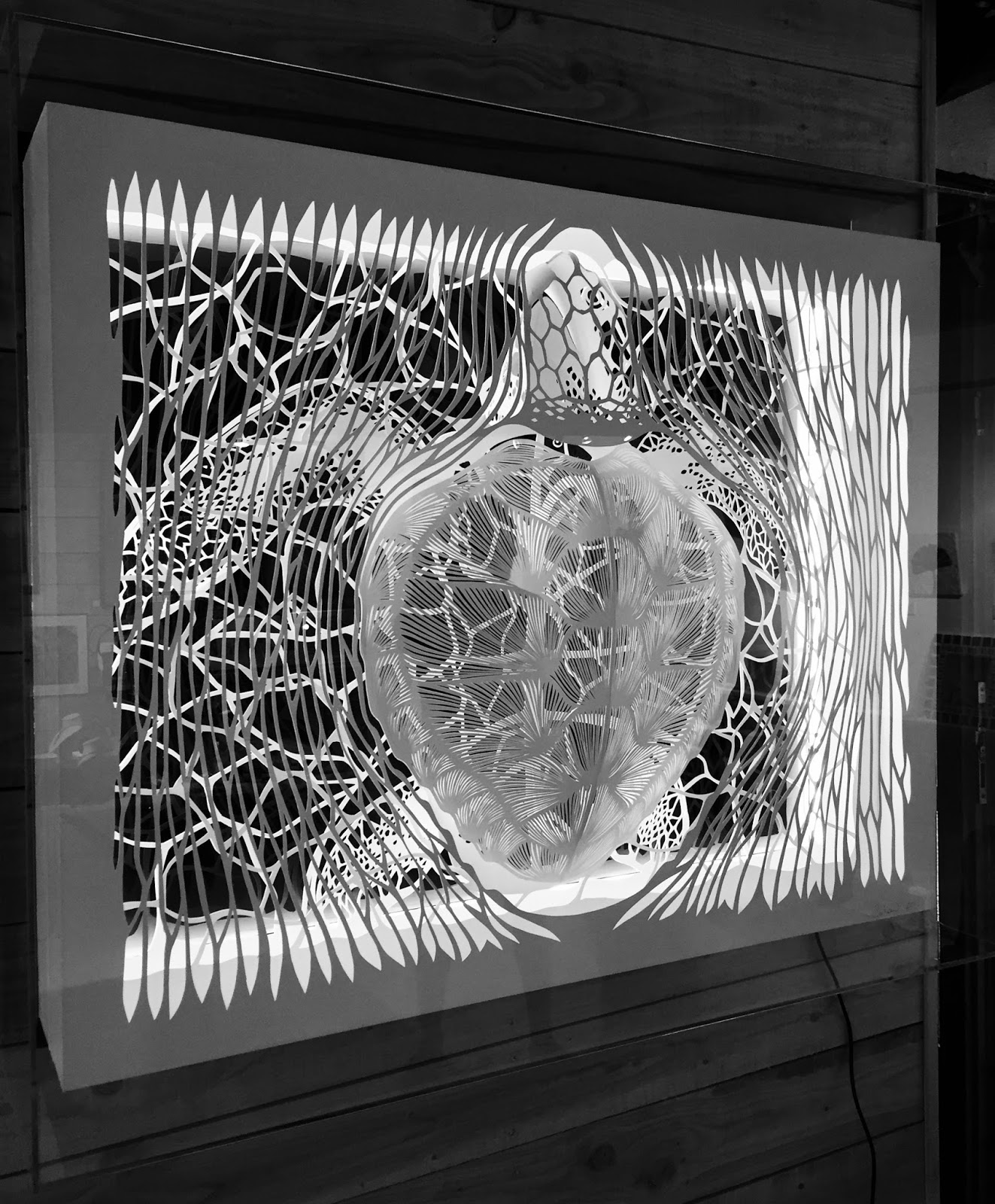 Turtle, 2016 — view 6